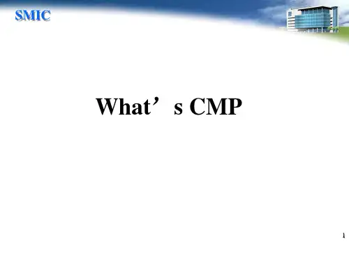 CMP-制成介绍中芯国际
