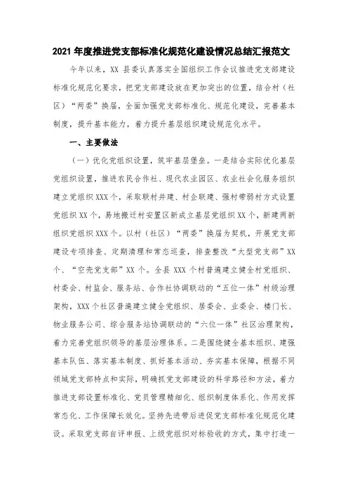 2021年度推进党支部标准化规范化建设情况总结汇报范文(六页)