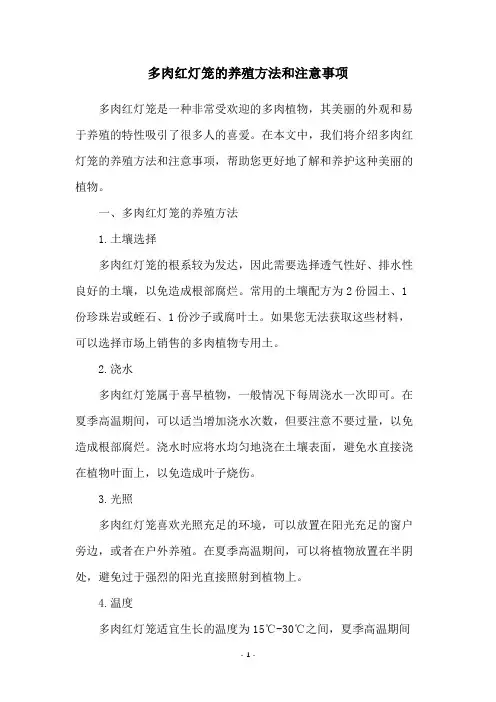 多肉红灯笼的养殖方法和注意事项