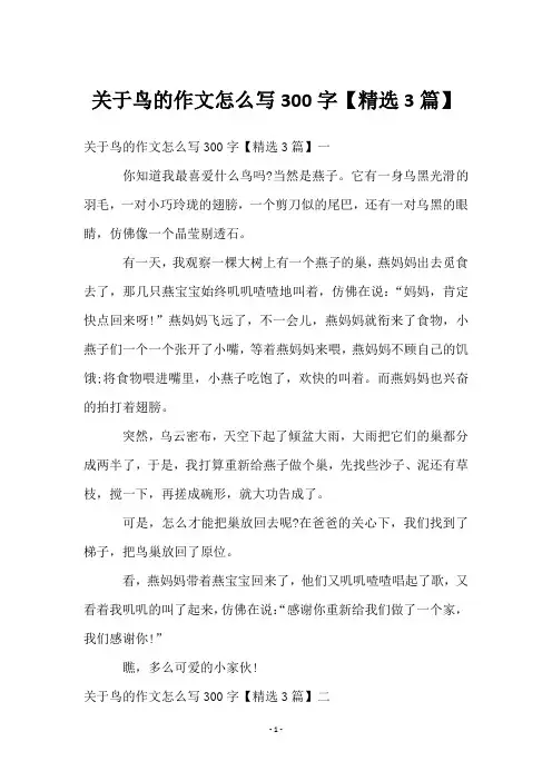 关于鸟的作文怎么写300字【3篇】