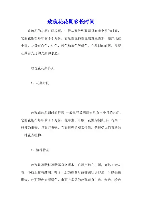 玫瑰花花期多长时间