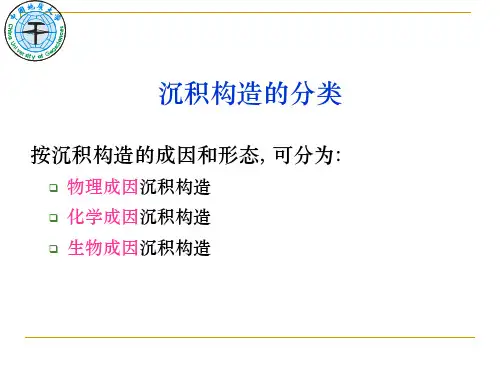 沉积岩-实习一、沉积构造