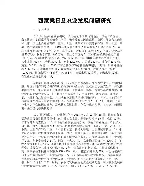 西藏桑日县农业发展问题研究