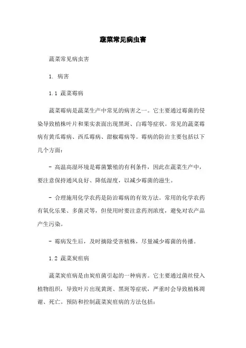 蔬菜常见病虫害