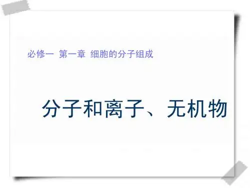 分子和离子、无机物