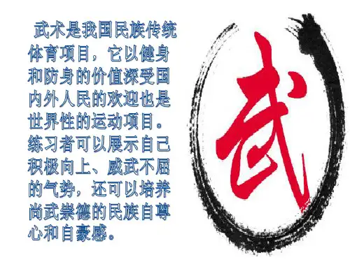 武术健身长拳