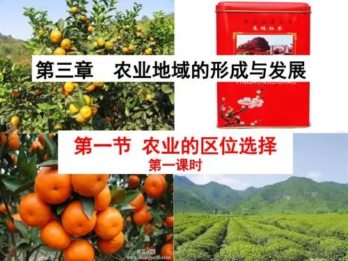 人教版高中地理必修二第三章第一节农业的区位选择 课件(共23张PPT)