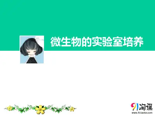 原创7：2.1 微生物的实验室培养