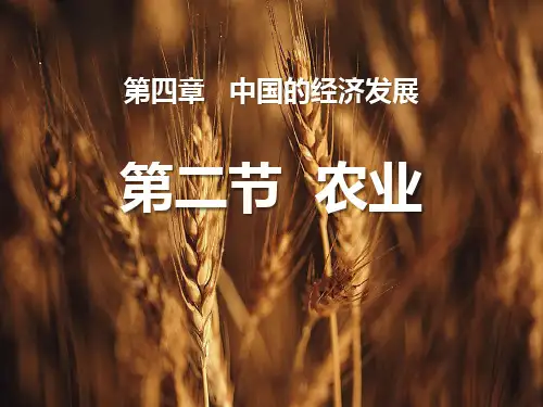 人教版八年级地理上册《农业》PPT课件(8篇)