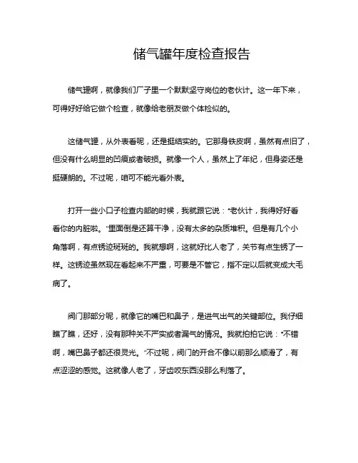 储气罐年度检查报告