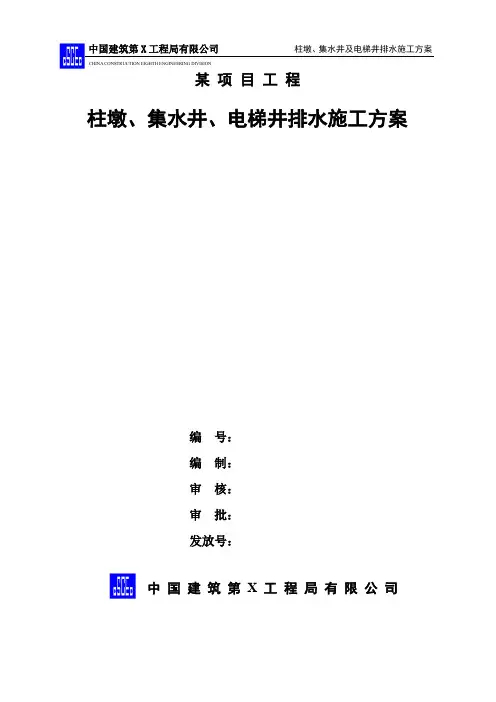 某项目柱墩、电梯井、集水坑排水方案