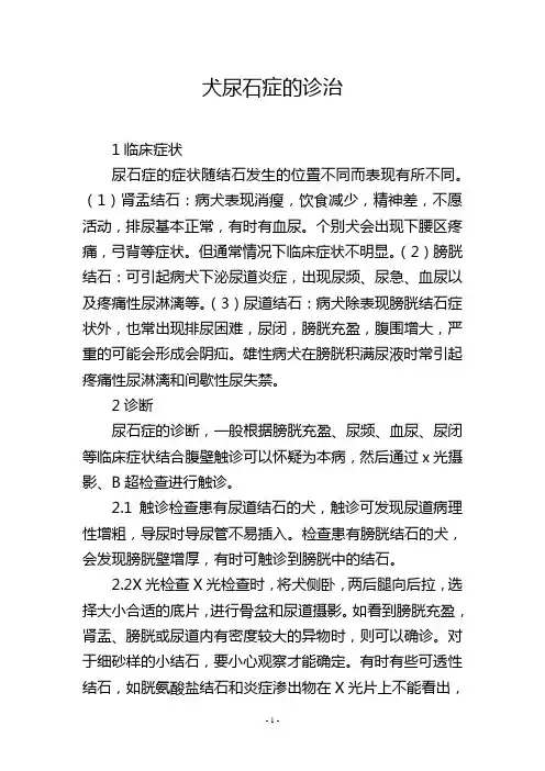 犬尿石症的诊治