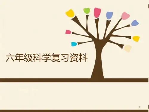 大象版六年级科学上册复习资料学习课件