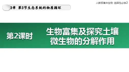 【化学课件】生物富集及探究土壤微生物的分解作用 23-24学年高二上人教版(2019)选择性必修2