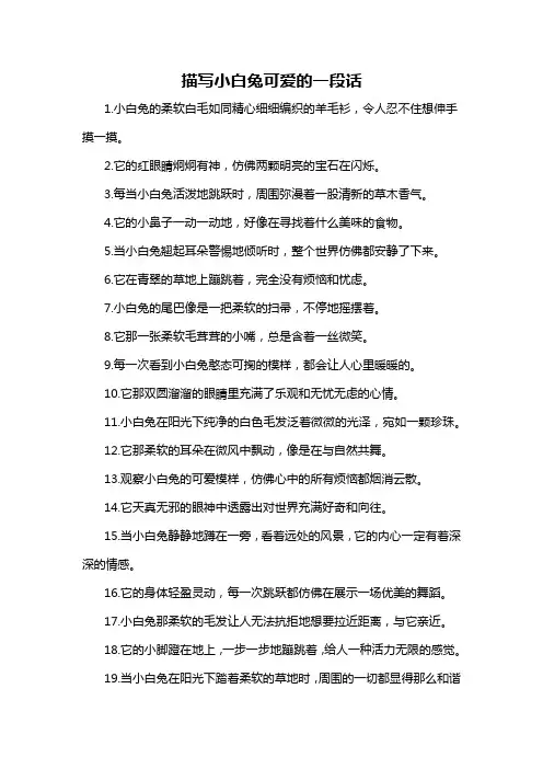描写小白兔可爱的一段话-概述说明以及解释