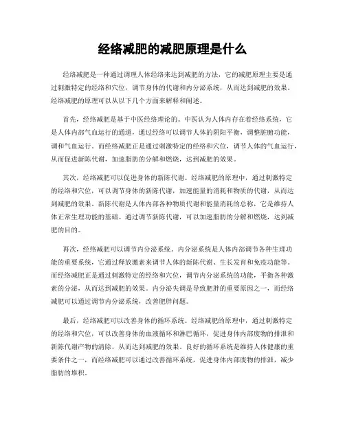 经络减肥的减肥原理是什么