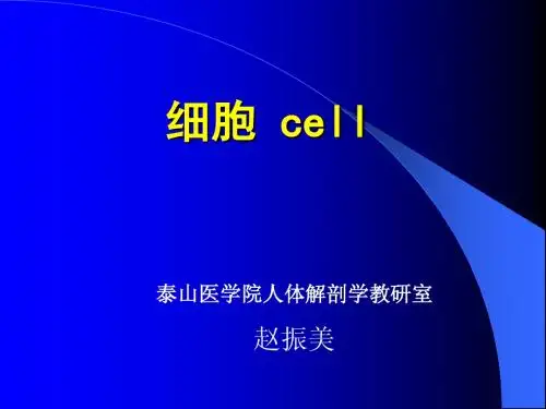 细胞和基本组织