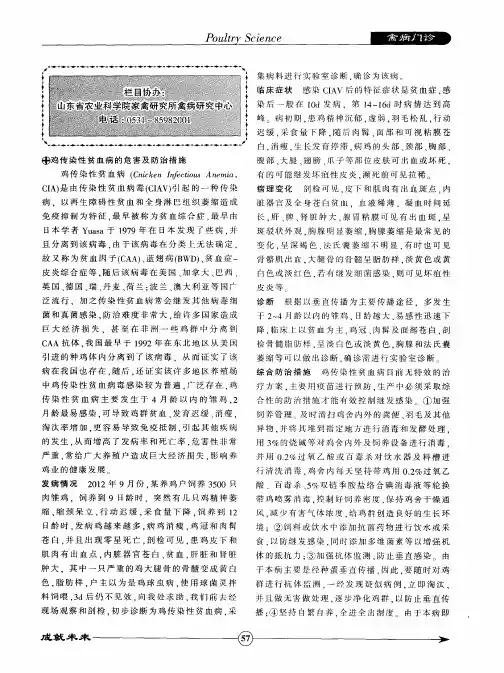 鸡传染性贫血病的危害及防治措施