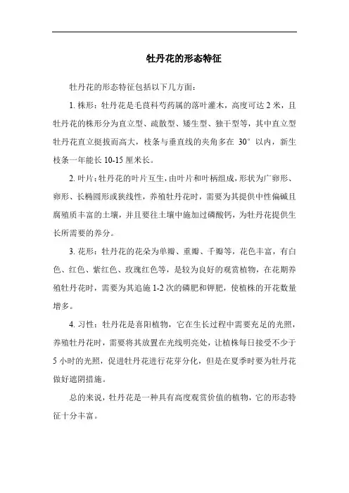 牡丹花的形态特征