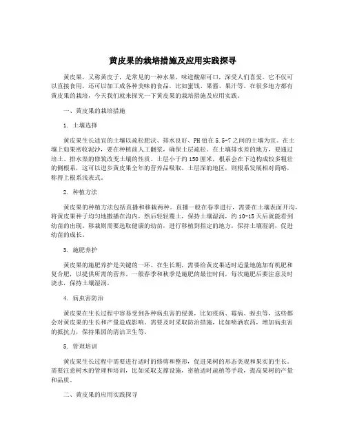 黄皮果的栽培措施及应用实践探寻