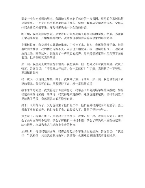 九年级上期中考试试卷语文作文