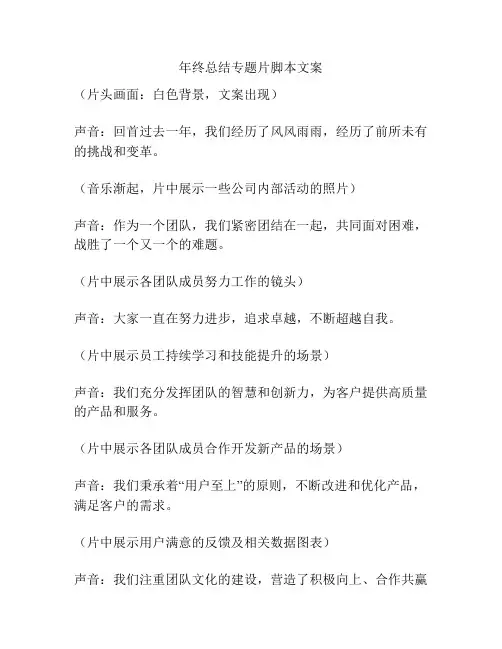 年终总结专题片脚本文案