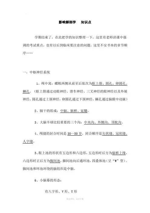 影像解剖学  知识点