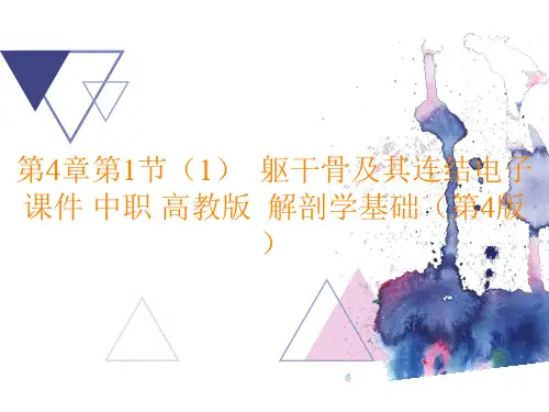 解剖学基础(第4版)《躯干骨及其连结》PPT课件