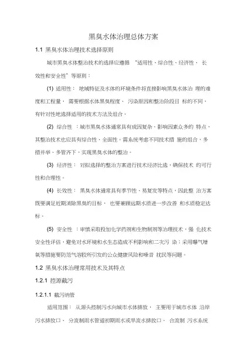 (完整版)黑臭水体治理方案