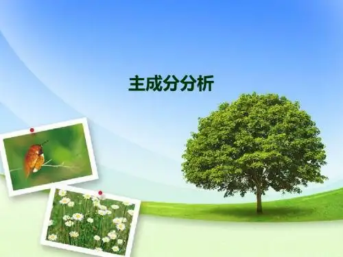 主成分分析