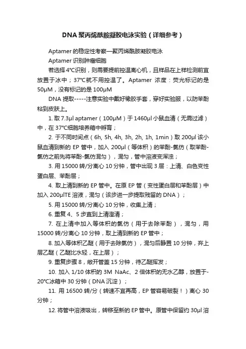 DNA聚丙烯酰胺凝胶电泳实验（详细参考）