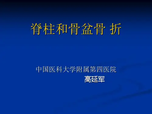 脊柱和骨盆骨折骨折PPT课件