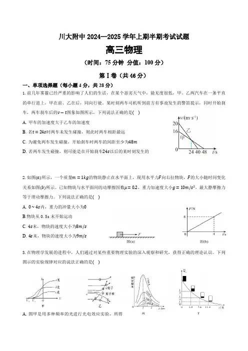 四川省成都市第十二中学(四川大学附属中学)2024-2025学年高三上学期半期考试物理试题(含解析)