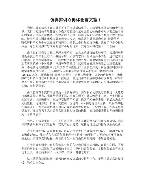 仿真实训心得体会范文仿真实训工作总结怎么写