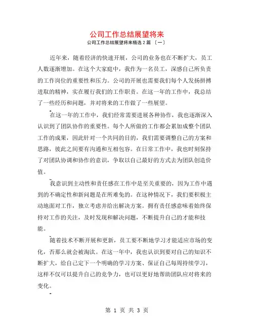 公司工作总结展望未来2篇