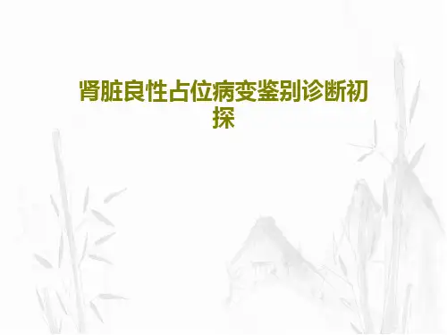 肾脏良性占位病变鉴别诊断初探共43页文档