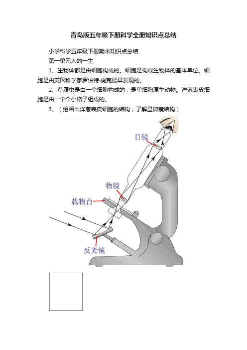 青岛版五年级下册科学全册知识点总结