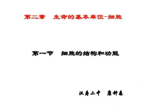 【高一生物】细胞膜的结构和功能