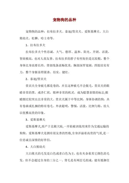 宠物狗的品种