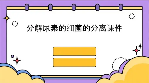 分解尿素的细菌的分离课件