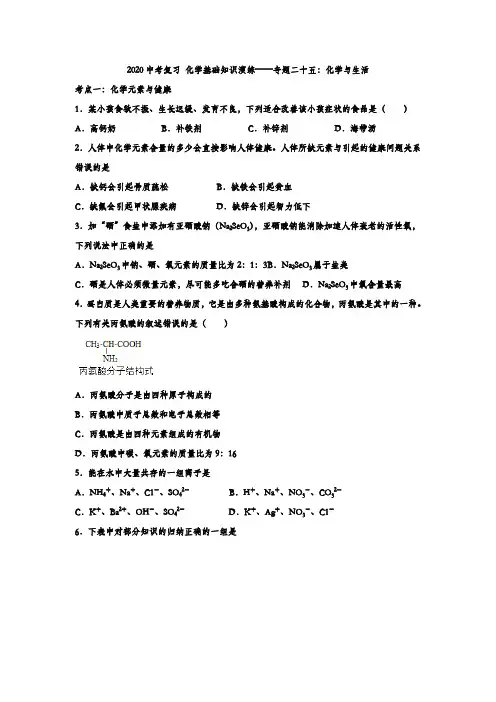 2020中考复习 化学基础知识演练——专题二十五：化学与生活