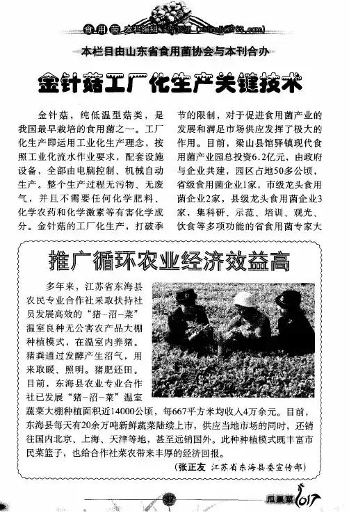 金针菇工厂化生产关键技术