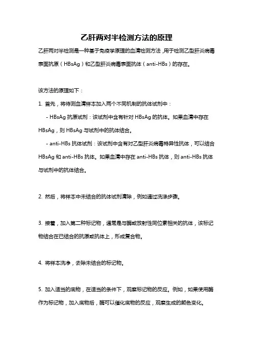 乙肝两对半检测方法的原理