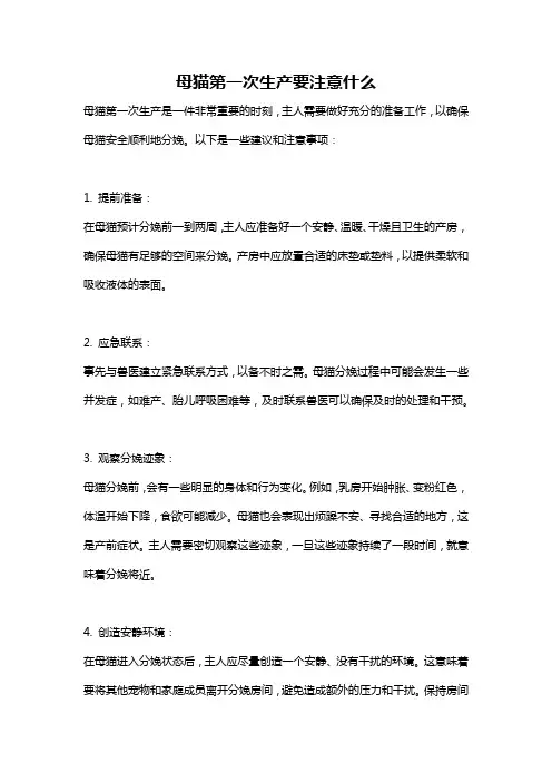 母猫第一次生产要注意什么