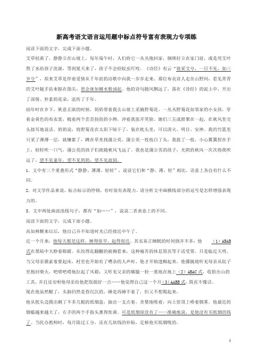 新高考语文语言运用题中标点符号富有表现力专项练附答案解析