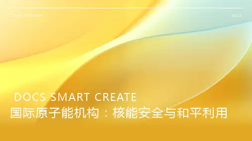 国际原子能机构