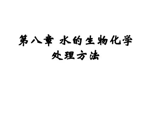 水污染控制工程第八章(百度文库版)