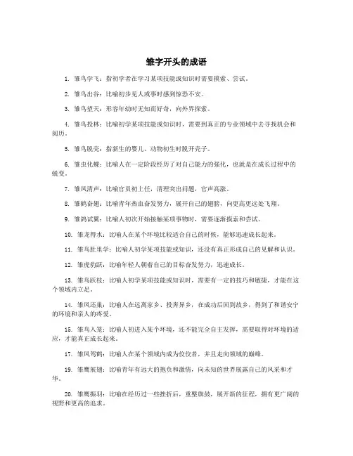 雏字开头的成语