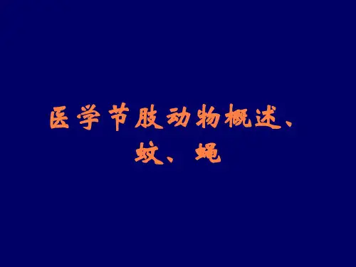 医学节肢动物概述、蚊、蝇