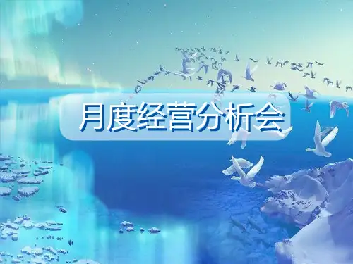 月度经营分析模板ppt课件